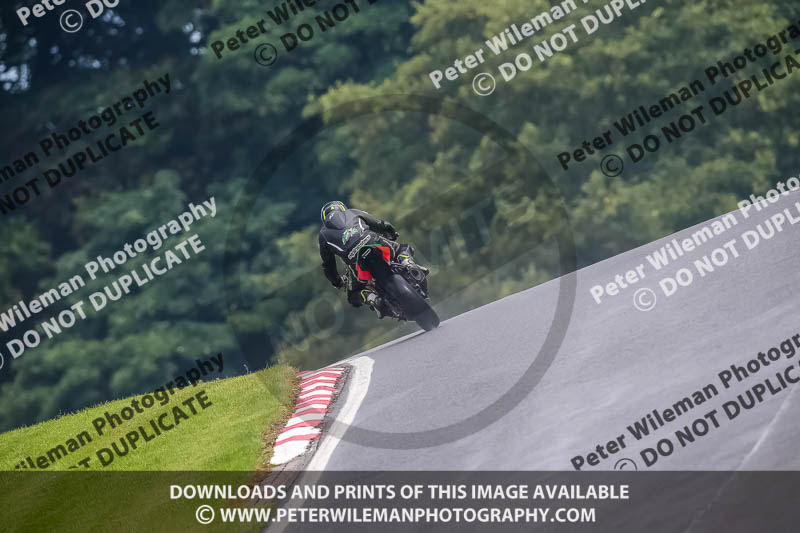 PJ Motorsport Photography 2020;anglesey;brands hatch;cadwell park;croft;donington park;enduro digital images;event digital images;eventdigitalimages;mallory;no limits;oulton park;peter wileman photography;racing digital images;silverstone;snetterton;trackday digital images;trackday photos;vmcc banbury run;welsh 2 day enduro